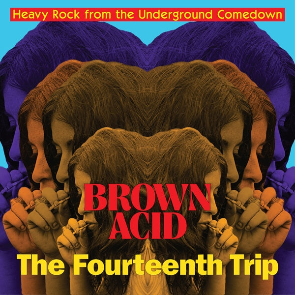 Va - Brown Acid - The Fourteenth Trip - Vinyl