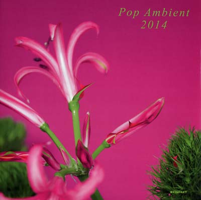 Va - Pop Ambient 2014 - CD