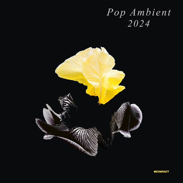 Va - Pop Ambient 2024 - Vinyl