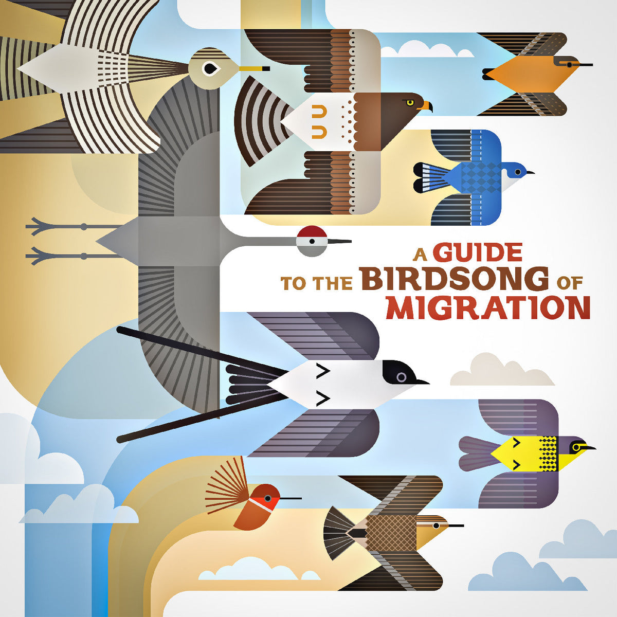 Various Artists - A Guide To The Birdsong Of Migration - Vinyl