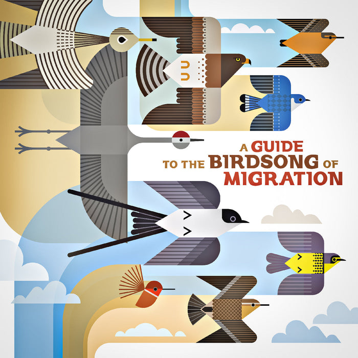Various Artists - A Guide To The Birdsong Of Migration - Vinyl