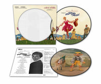 Various Artists - The Sound Of Music (Original Soundtrack Recording) [Picture Disc LP] - Vinyl