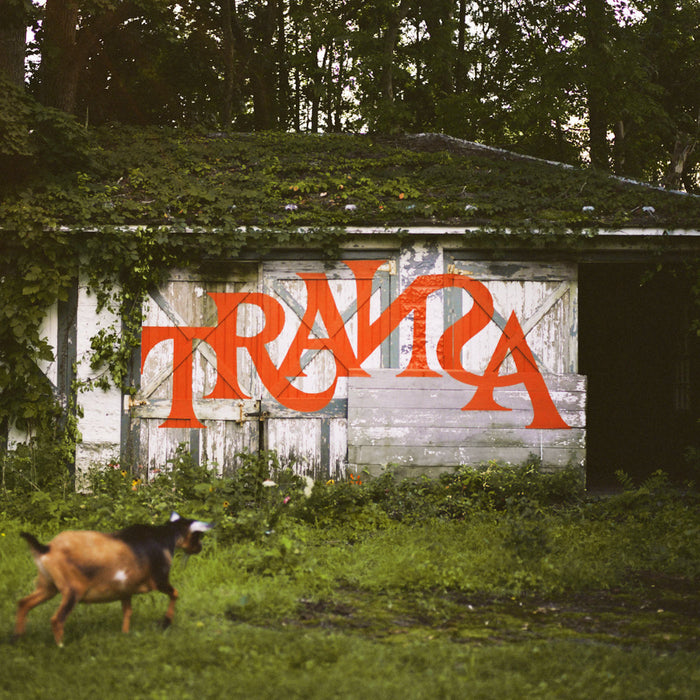 Various Artists - Transa (Deluxe Edition) - Vinyl