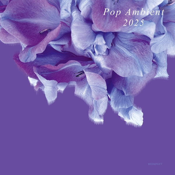 Various Atrists - Pop Ambient 2025 - Vinyl
