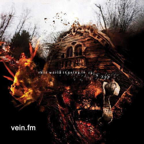 Vein.Fm - This World Is Going To Ruin You (Indie Exclusive, Translucent Gold Colored Vinyl) - Vinyl