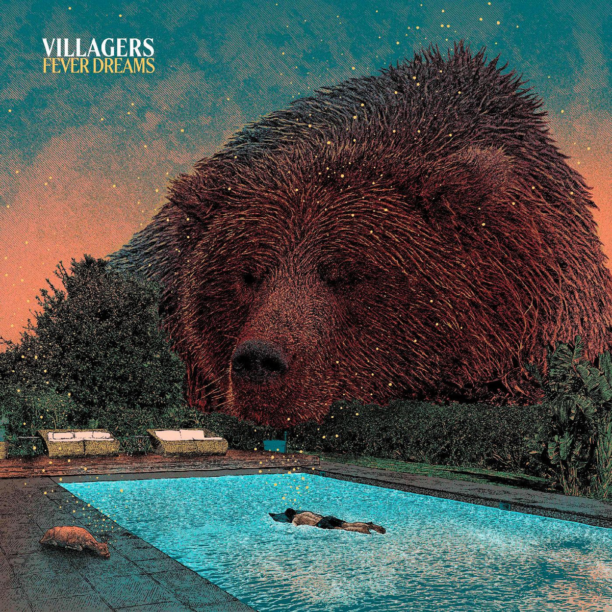 Villagers - Fever Dreams - Vinyl