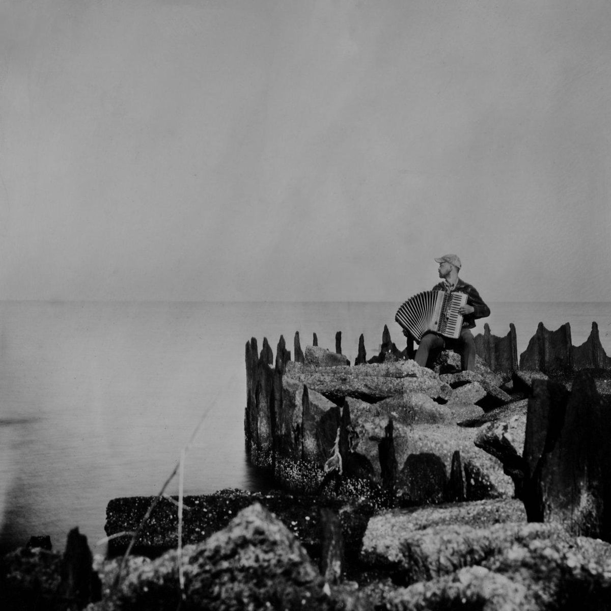 Walt McClements - A Hole In The Fence - Vinyl