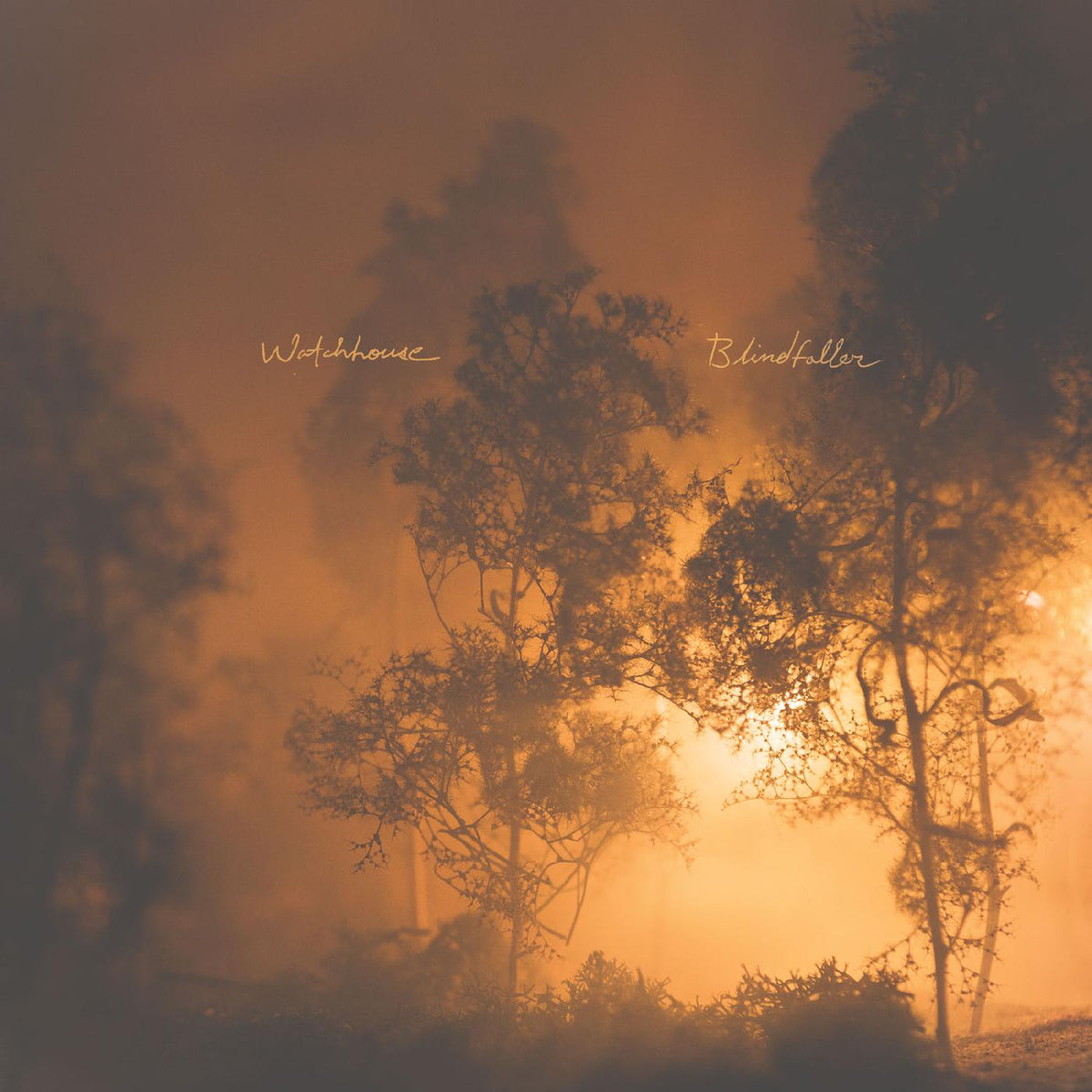 Watchhouse - Blindfaller - Vinyl