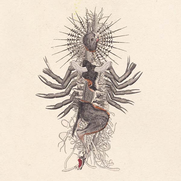 WE WILL FAIL - Verstorung - CD