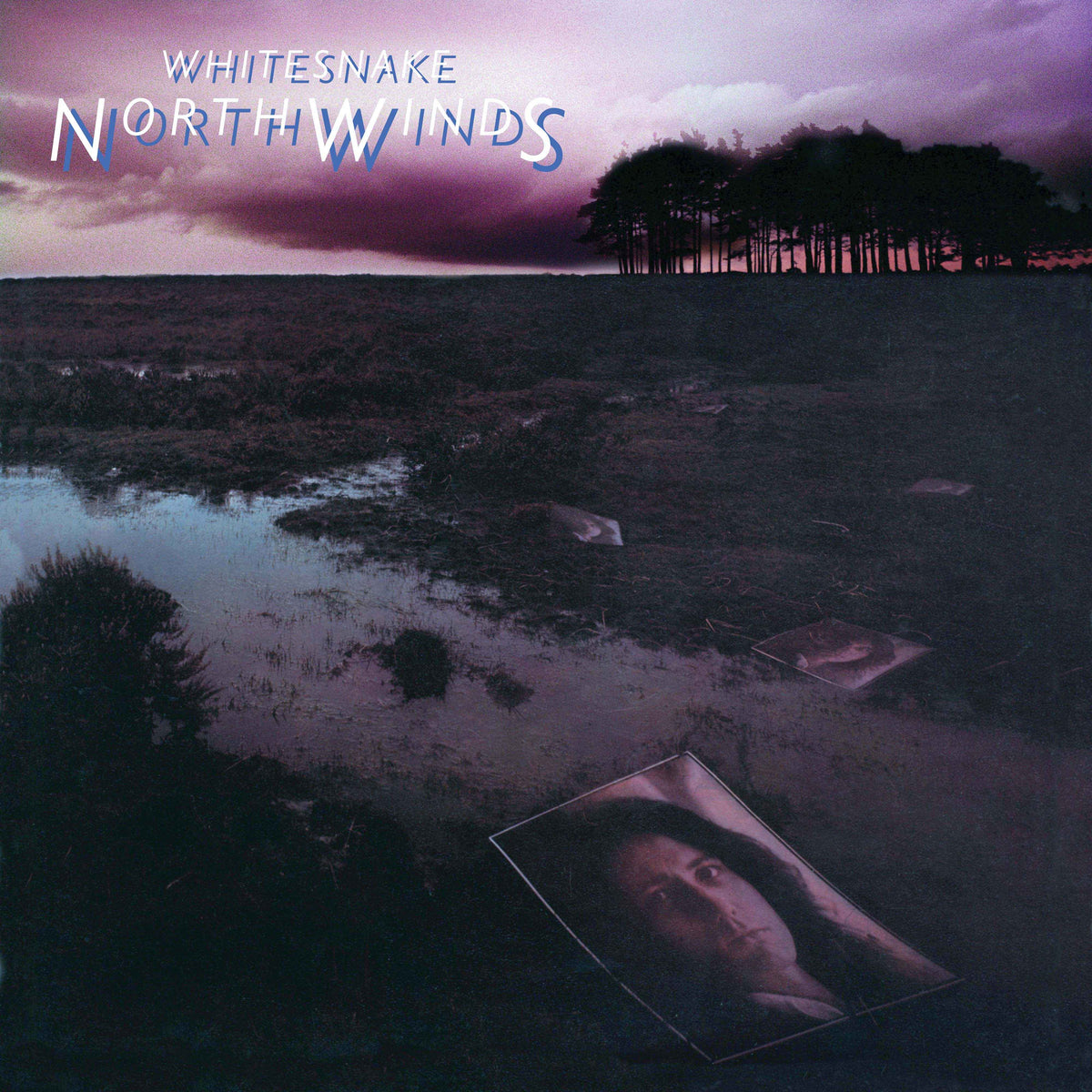 Whitesnake - NorthWinds (RKTBR24) (B&MEX) - Vinyl