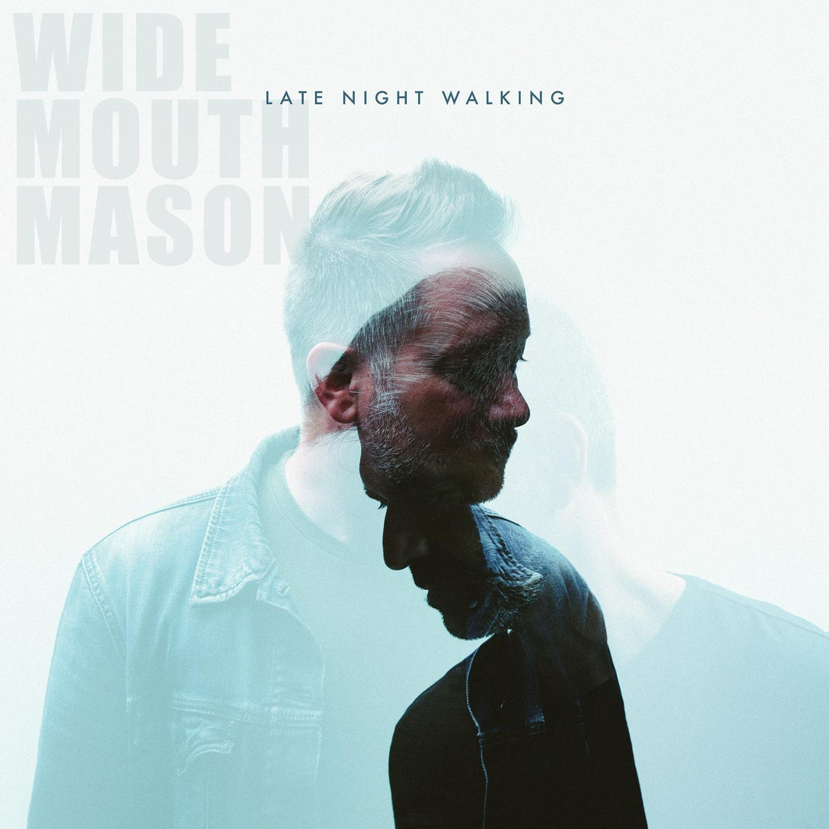 Wide Mouth Mason - Late Night Walking - Vinyl