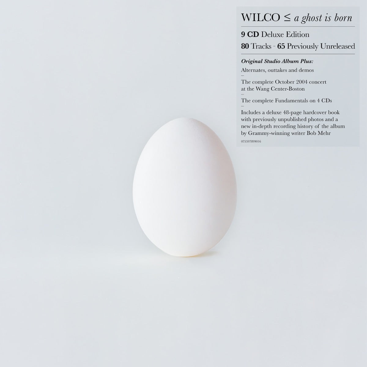 Wilco - A Ghost Is Born (Deluxe Edition) (9 Cd's, Box Set) - CD