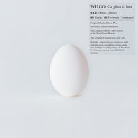 Wilco - A Ghost Is Born (Deluxe Edition) (9 Cd's, Box Set) - CD