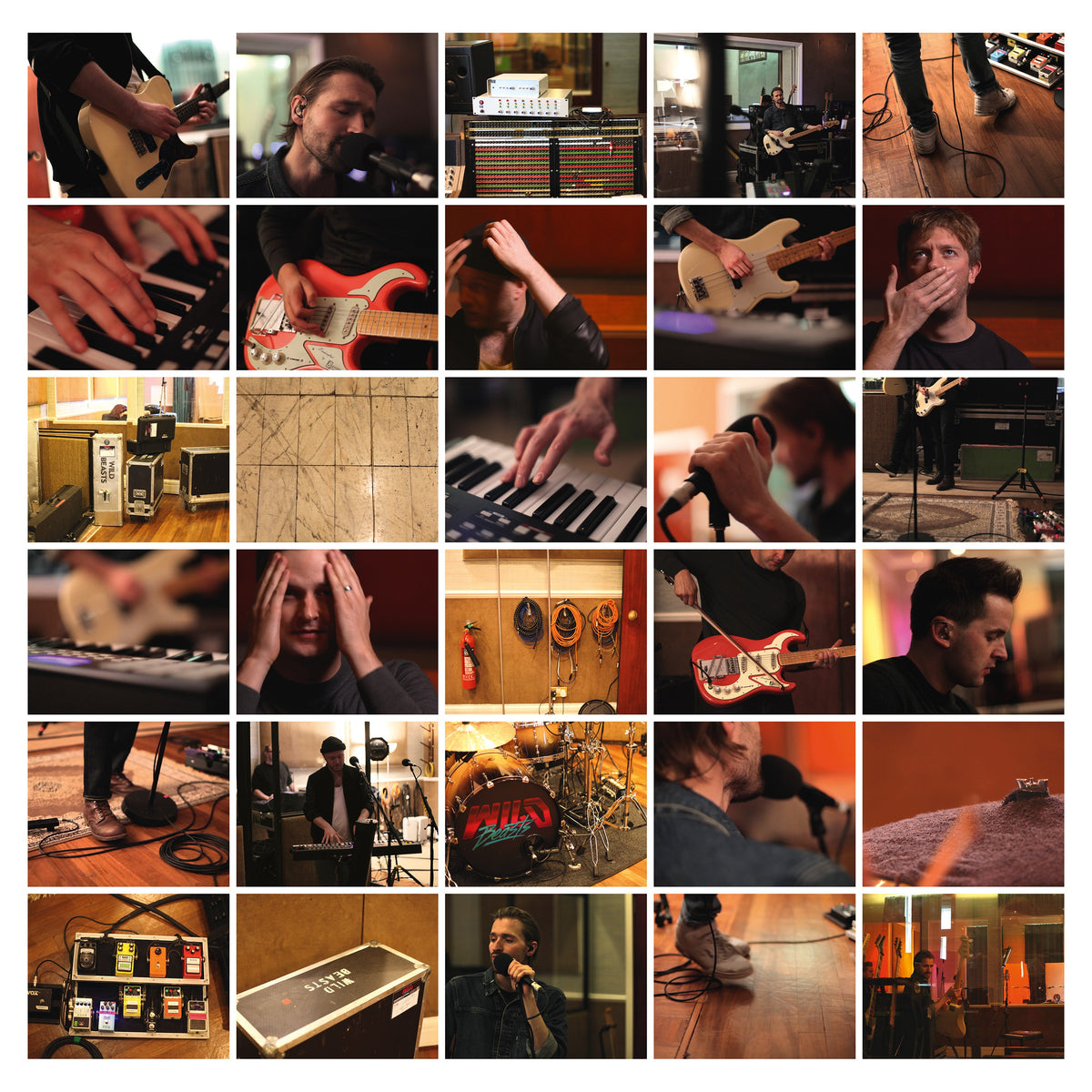 Wild Beasts - Last Night All My Dreams Came True - Vinyl