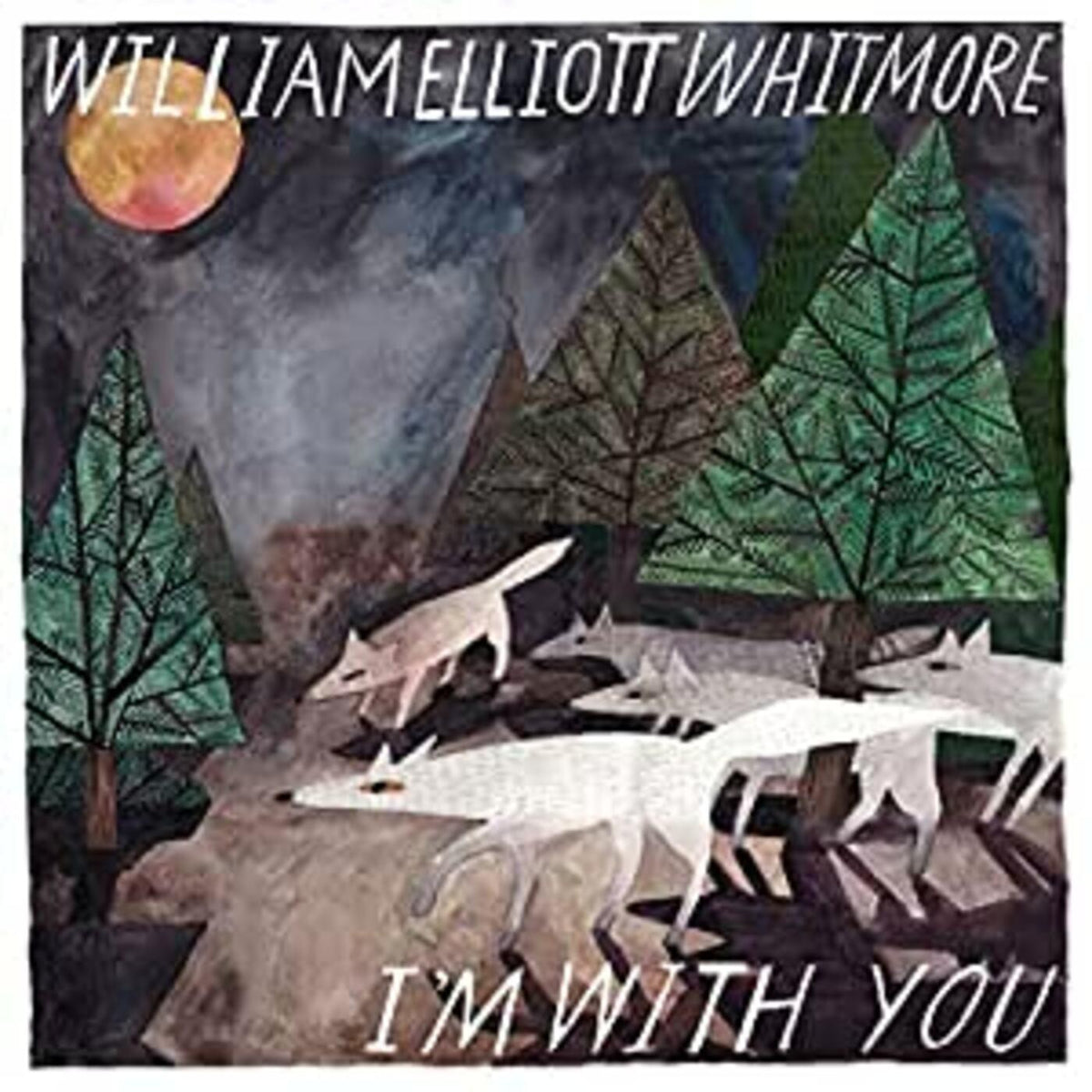 William Elliott Whitmore - I'm With You - Vinyl