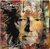 Willie Nelson - Last Leaf On The Tree (Amber Fossil Colored Vinyl) (2 Lp) - Vinyl
