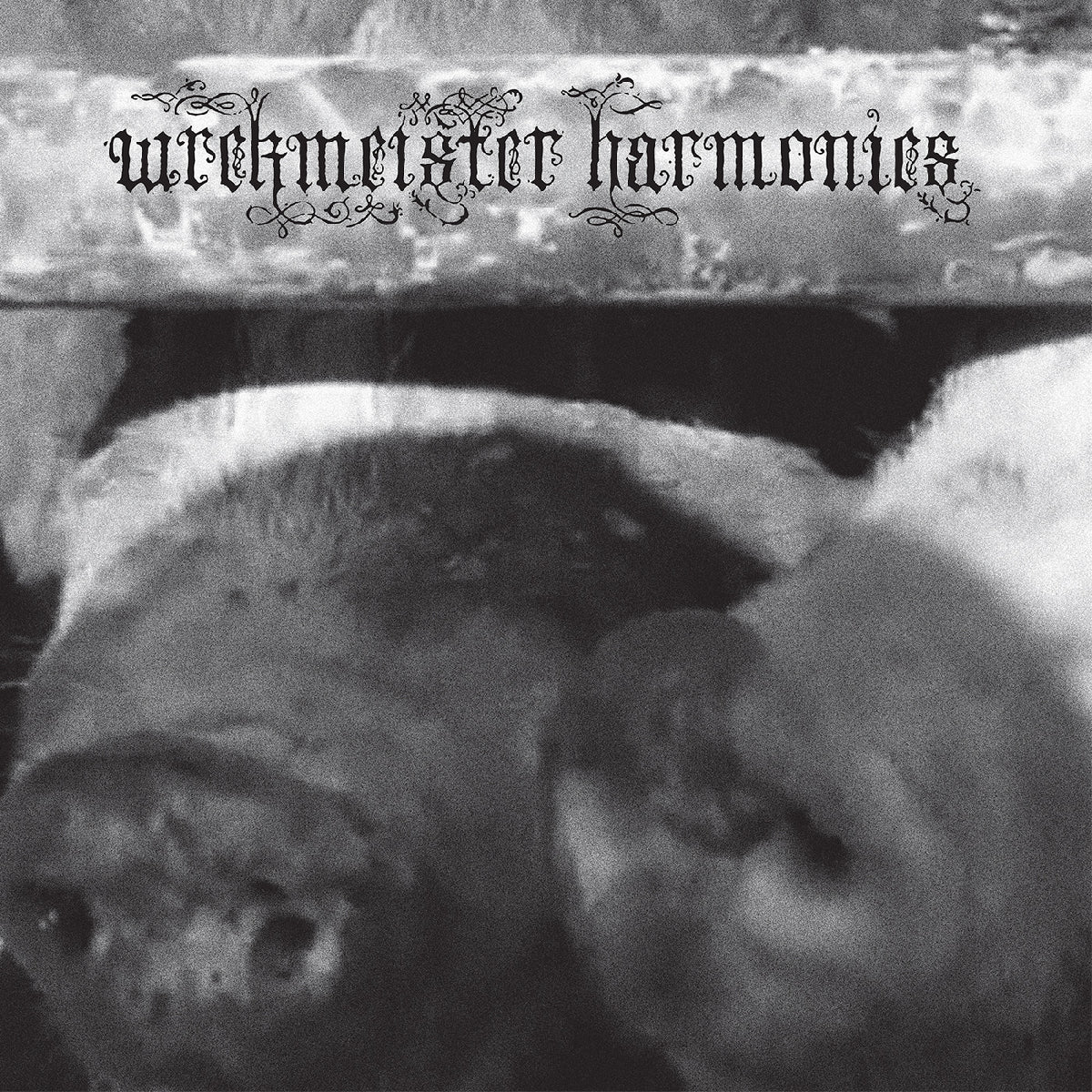 Wrekmeister Harmonies - Flowers In The Spring - Vinyl