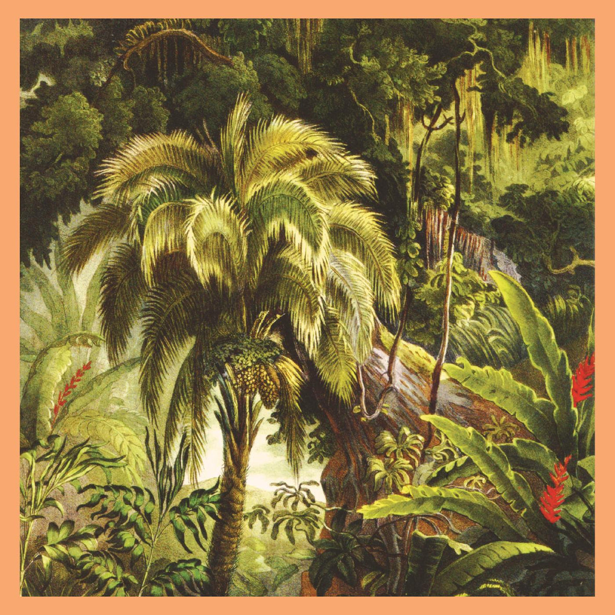 Xiu Xiu - La Foret [Jade Eco-Mix Vinyl] - Vinyl