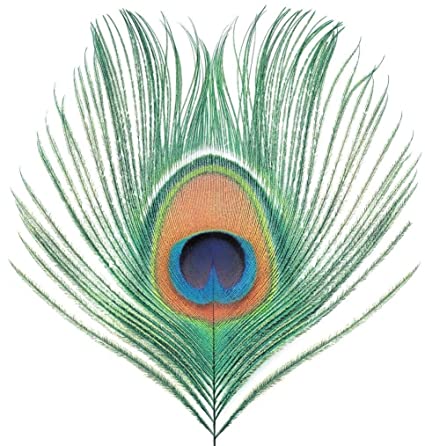 XTC - Apple Venus Vol. 1 (200 Gram Vinyl) [Import] - Vinyl