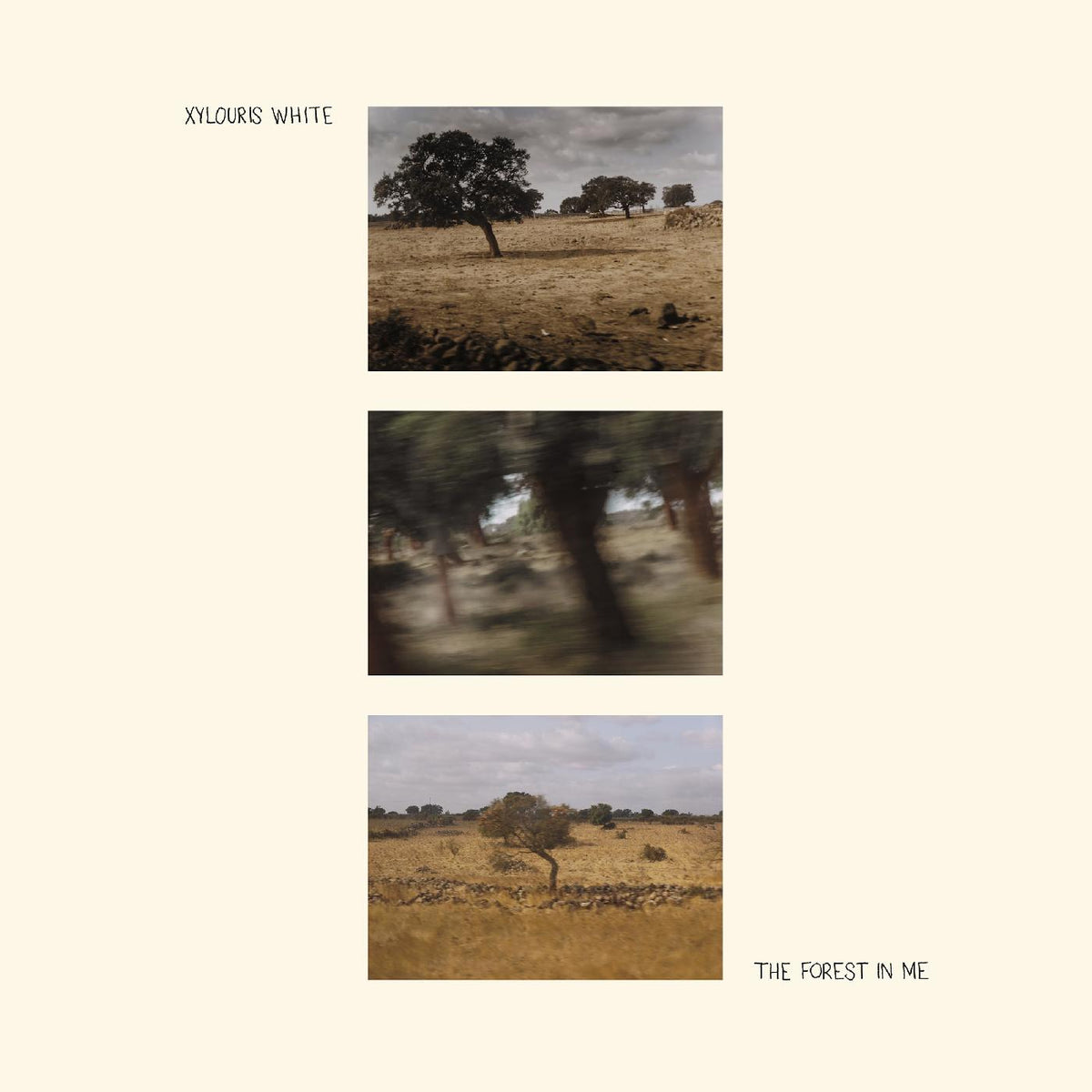 Xylouris White - The Forest In Me - Vinyl