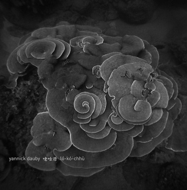 YANNICK DAUBY - Penghu Experimental Sound Studio Vol. 2 - Vinyl