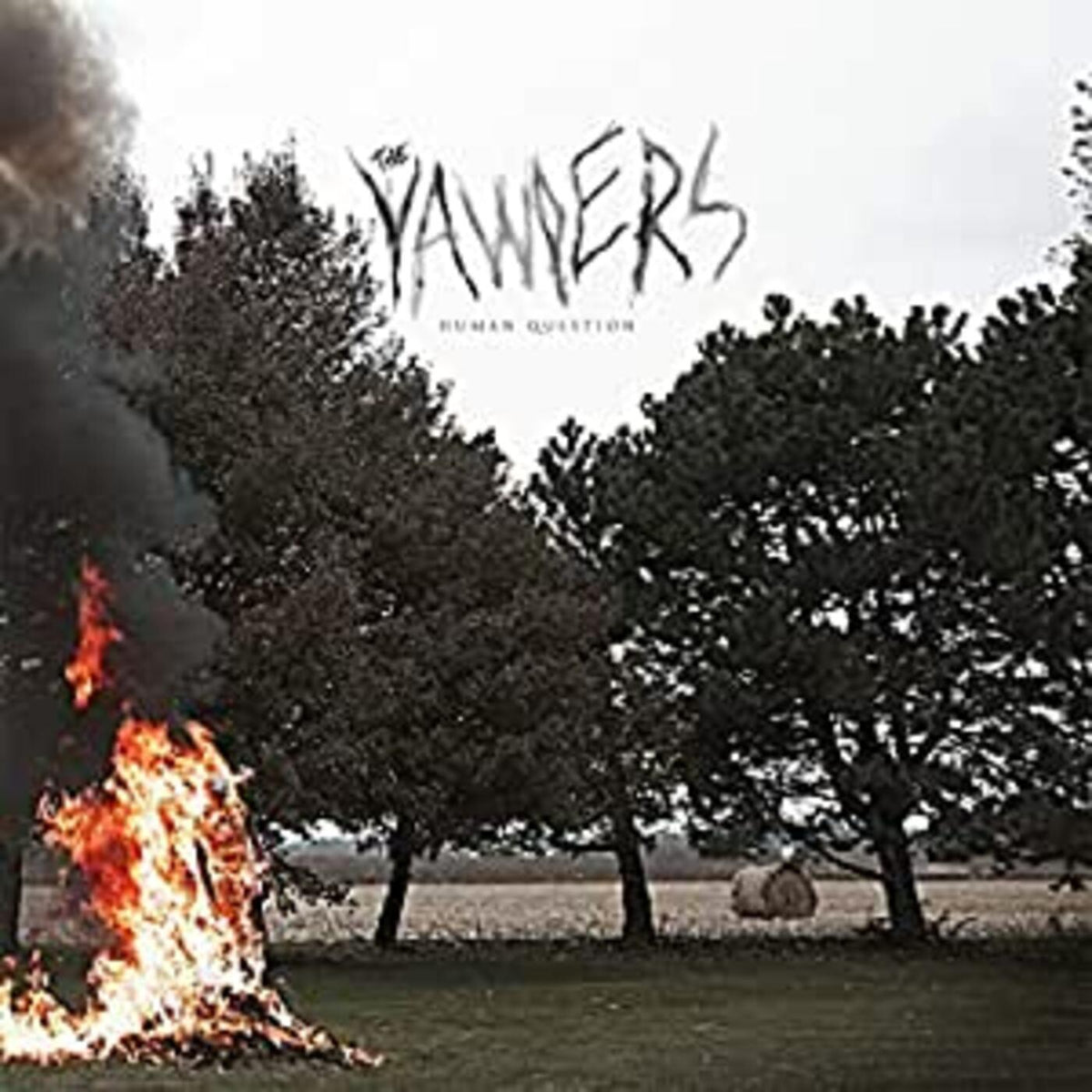 Yawpers - Human Question - Vinyl