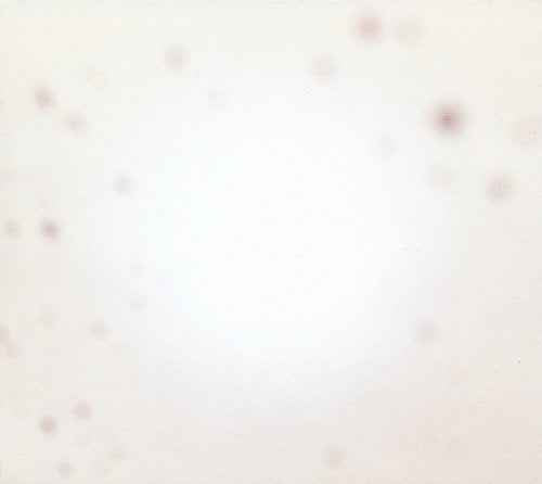 Yo La Tengo - There's A Riot Going On - Vinyl